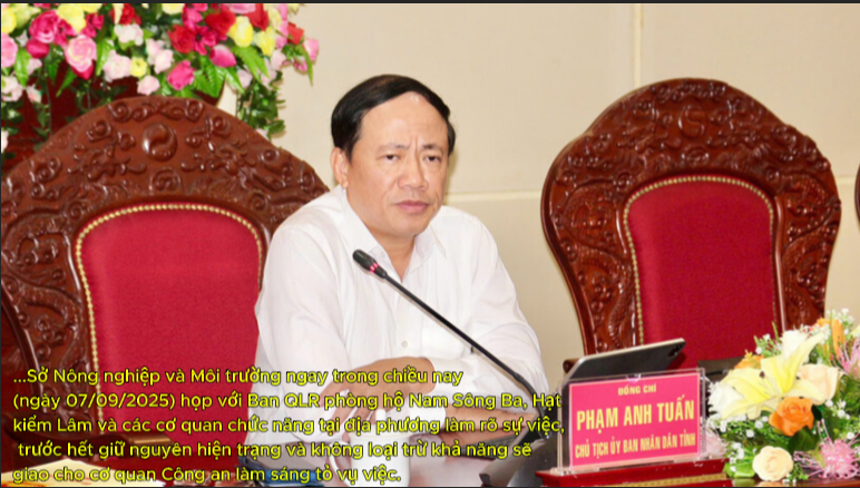 Gia Lai: Cần làm rõ dấu hiệu trộm cắp gỗ keo tại khu vực rừng trồng của Công ty Phúc Phong